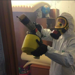 Уничтожение клопов в квартире. поселок Октябрьский