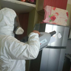 Уничтожение насекомых в квартире. поселок Октябрьский